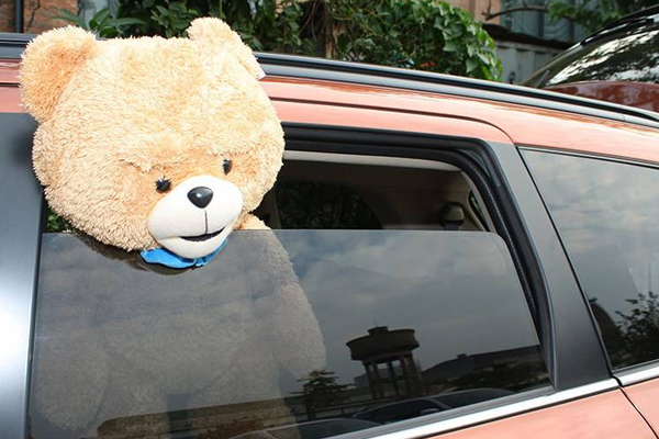 车窗玻璃升降器